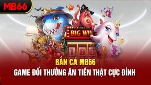 Sự đa dạng trong các sản phẩm cá cược